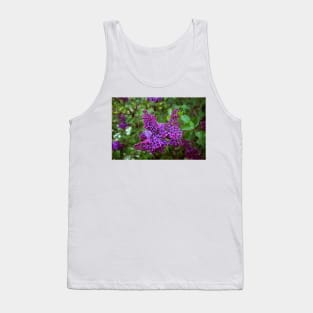 Vivid Purple Lilacs Tank Top